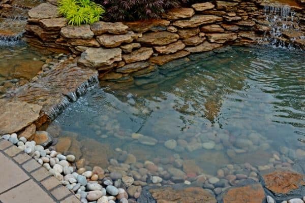 Aqua Pond, Pond Cleaning, Pond Repair, Pond Maintenance