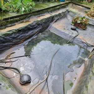 Aqua Pond, Pond Cleaning, Pond Repair, Pond Maintenance