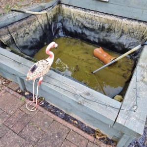 Aqua Pond, Pond Cleaning, Pond Repair, Pond Maintenance