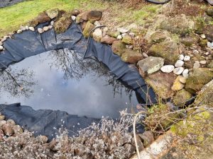 Aqua Pond, Pond Cleaning, Pond Repair, Pond Maintenance