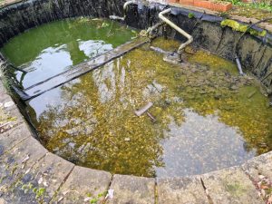 Aqua Pond, Pond Cleaning, Pond Repair, Pond Maintenance