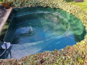 Aqua Pond, Pond Cleaning, Pond Repair, Pond Maintenance