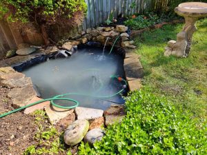 Aqua Pond, Pond Cleaning, Pond Repair, Pond Maintenance