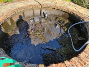 Aqua Pond, Pond Cleaning, Pond Repair, Pond Maintenance