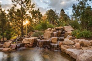 Aqua Pond, Pond Cleaning, Pond Repair, Pond Maintenance