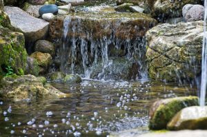 Aqua Pond, Pond Cleaning, Pond Repair, Pond Maintenance