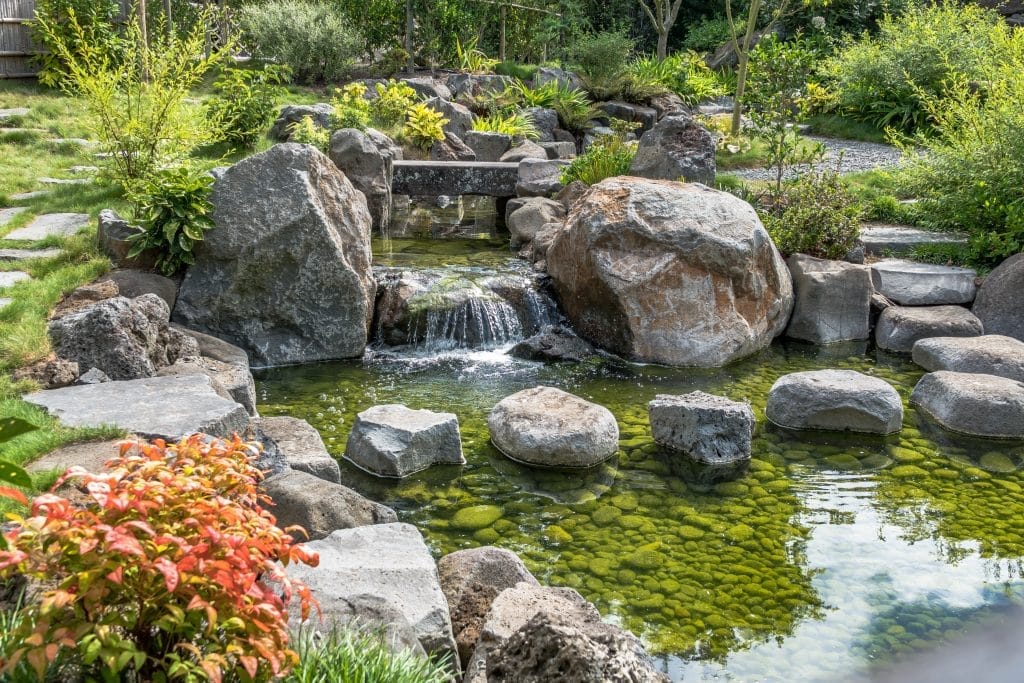 Aqua Pond, Pond Cleaning, Pond Repair, Pond Maintenance