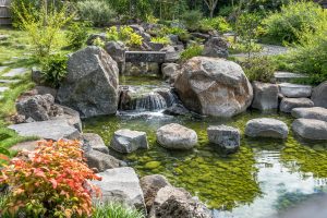 Japanese garden pond with waterfall and bridge