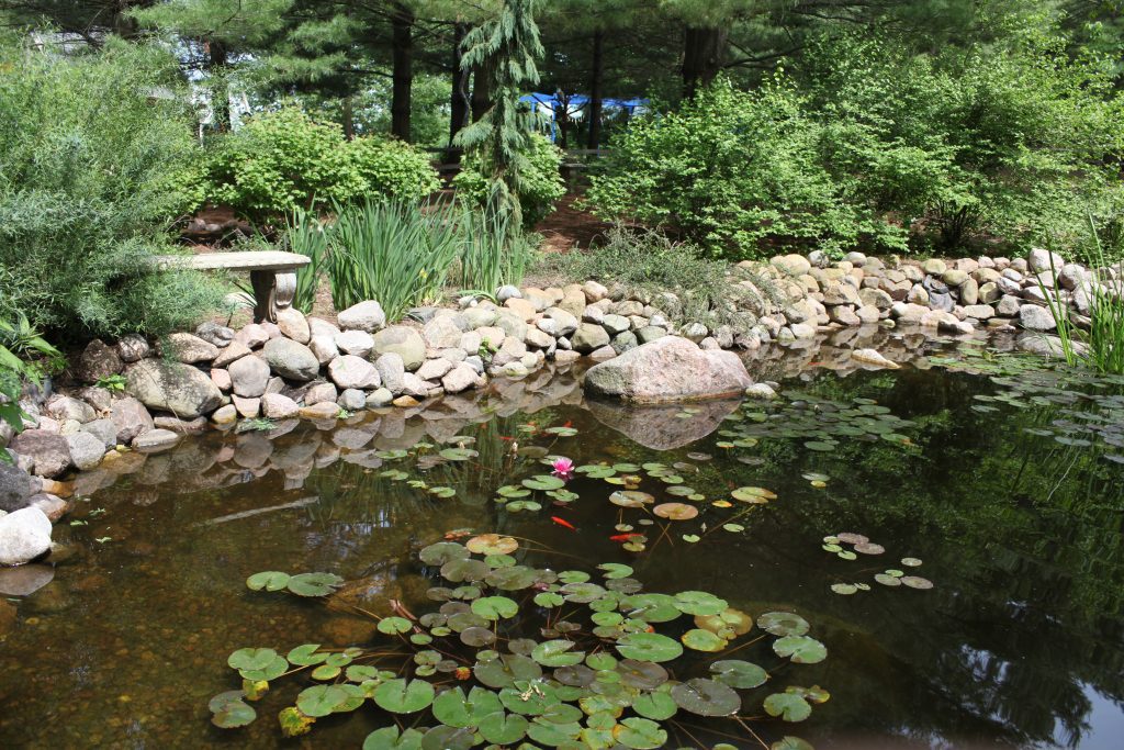 Aqua Pond, Pond Cleaning, Pond Repair, Pond Maintenance