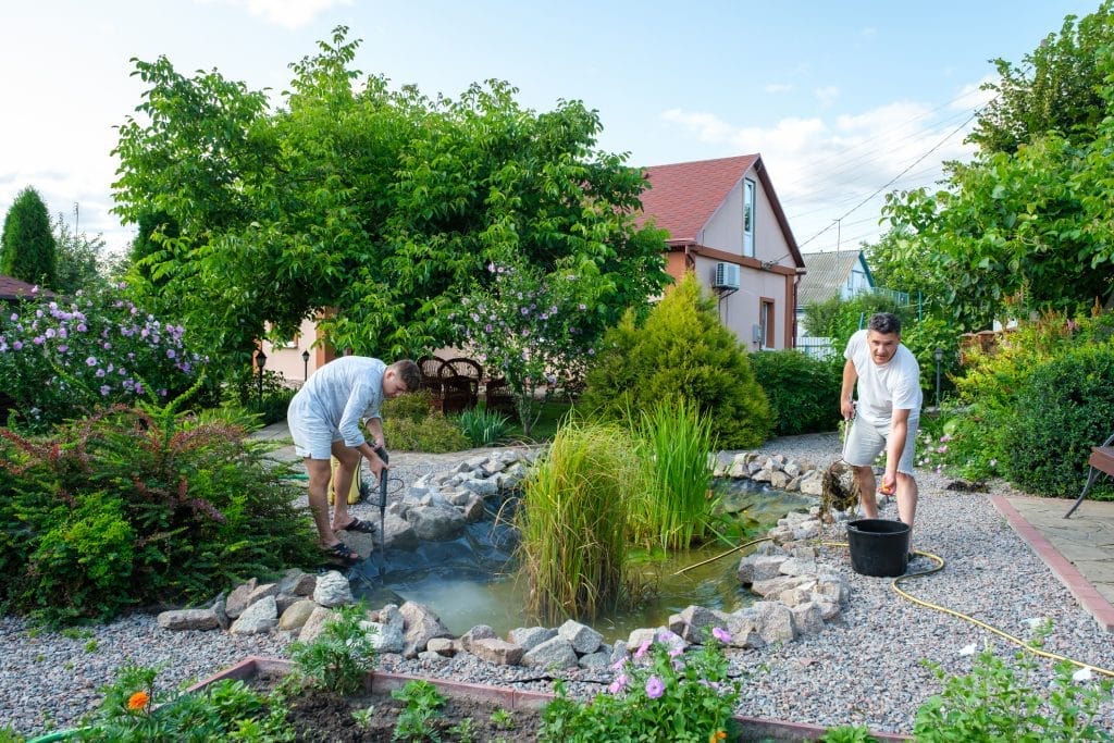 Pricing for Pond Cleaning: Understanding Costs and Services