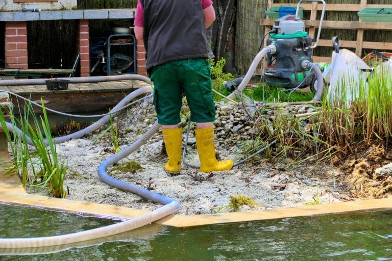 How to Maintain Healthy Pond Oxygen Levels for Vibrant Aquatic Life 1 Aqua Pond Ltd: Your Expert Choice for Professional Pond Maintenance