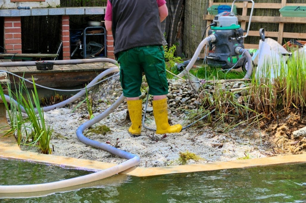 Aqua Pond Ltd: Your Expert Choice for Professional Pond Maintenance