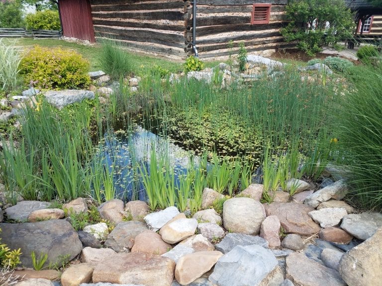 How to Maintain Healthy Pond Oxygen Levels for Vibrant Aquatic Life 1 Professional Pond Cleaning Services