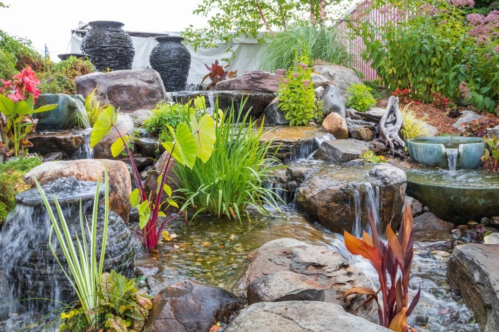 How to Create a Clean and Clear Ecosystem Pond: Essential Steps for Success