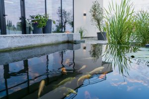 Modern Garden Ponds