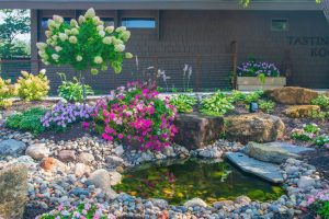 Planting Suggestions for Around a New Pond to Enhance Landscape and Wildlife