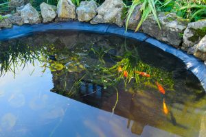 How To Best Find And Fix Pond Leaks Quickly: Effective Solutions for Immediate Results