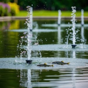 Benefits and Best Practices for Using Jets in Your Pond: Enhance Aeration and Aesthetics