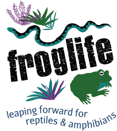 Home 5 froglife