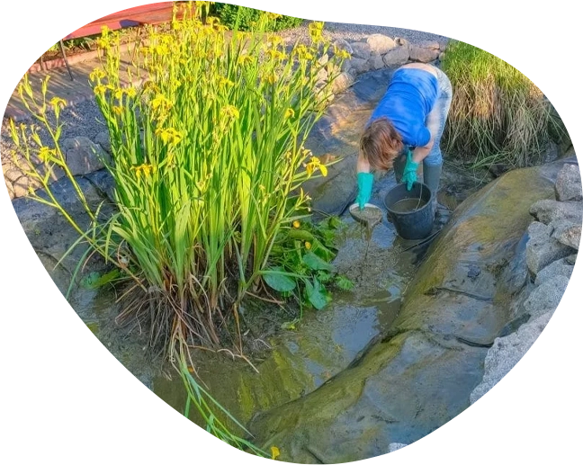 Aqua Pond | Pond Cleaning, Maintenance and Repairs Aqua Pond | Pond Cleaning Maintenance and Repairs